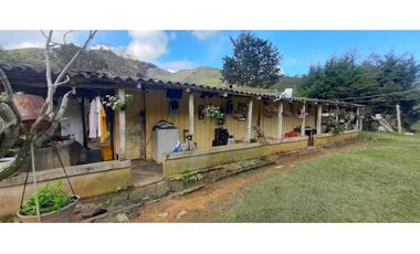 Venta finca en Urrao Suroeste Antioqueno