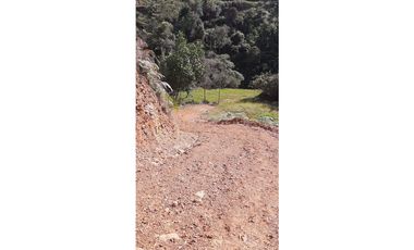 Venta finca en Urrao Suroeste Antioqueno