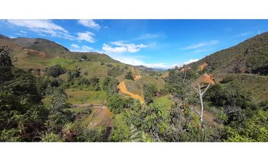 Venta finca en Urrao Suroeste Antioqueno