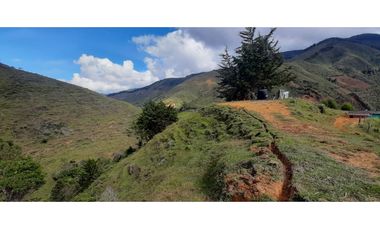 Venta finca en Urrao Suroeste Antioqueno
