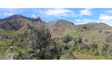 Venta finca en Urrao Suroeste Antioqueno