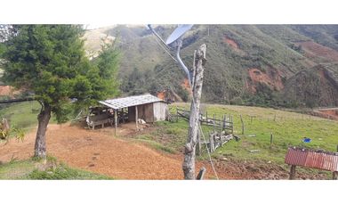 Venta finca en Urrao Suroeste Antioqueno