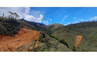 Venta finca en Urrao Suroeste Antioqueno