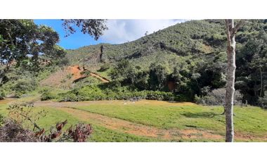 Venta finca en Urrao Suroeste Antioqueno