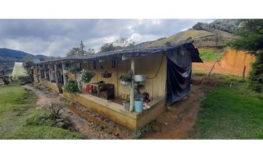 Venta finca en Urrao Suroeste Antioqueno