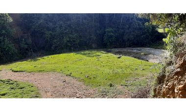 Venta finca en Urrao Suroeste Antioqueno