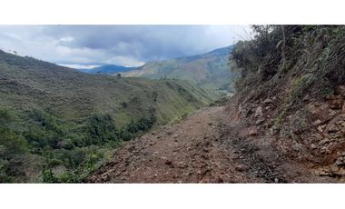 Venta finca en Urrao Suroeste Antioqueno