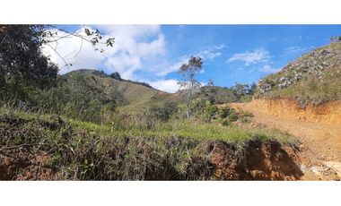 Venta finca en Urrao Suroeste Antioqueno