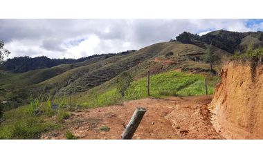 Venta finca en Urrao Suroeste Antioqueno