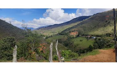 Venta finca en Urrao Suroeste Antioqueno