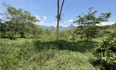 Venta de lote suroeste unidad cerrada