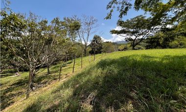 Venta de lote unidad cerrada suroeste de Antioquia