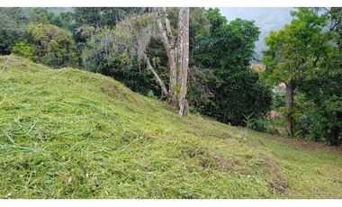 VENTA DE LOTE EN LA ALBANIA, TITIRIBI - ANTIOQUIA