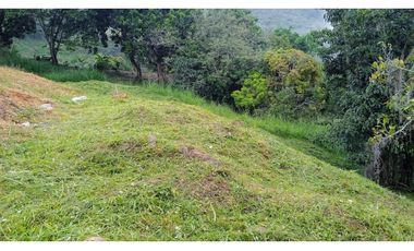 VENTA DE LOTE EN LA ALBANIA, TITIRIBI - ANTIOQUIA