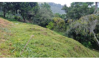 VENTA DE LOTE EN LA ALBANIA, TITIRIBI - ANTIOQUIA
