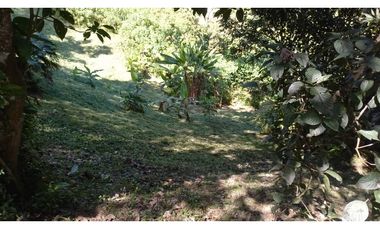 VENTA DE LOTE EN LA ALBANIA, TITIRIBI - ANTIOQUIA