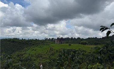 VENDO FINCA EN FILANDIA