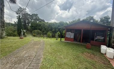 VENDO FINCA EN FILANDIA