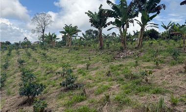 VENDO FINCA EN FILANDIA