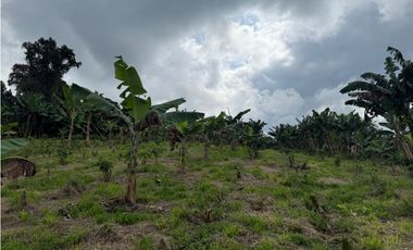 VENDO FINCA EN FILANDIA