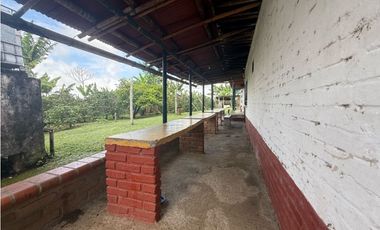 VENDO FINCA EN FILANDIA