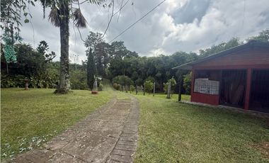 VENDO FINCA EN FILANDIA