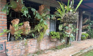 VENDO FINCA EN FILANDIA