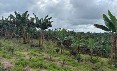 VENDO FINCA EN FILANDIA