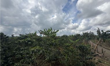 VENDO FINCA EN FILANDIA