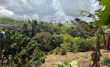 VENDO FINCA EN FILANDIA