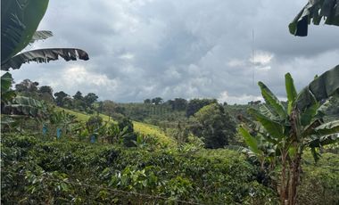 VENDO FINCA EN FILANDIA