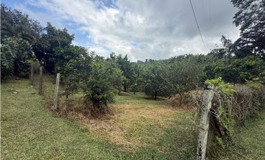 VENDO FINCA EN FILANDIA