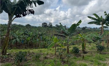 VENDO FINCA EN FILANDIA