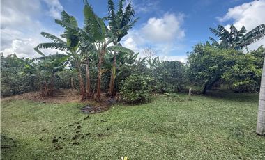 VENDO FINCA EN FILANDIA