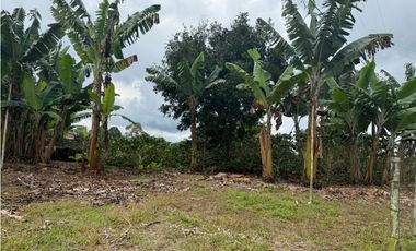 VENDO FINCA EN FILANDIA