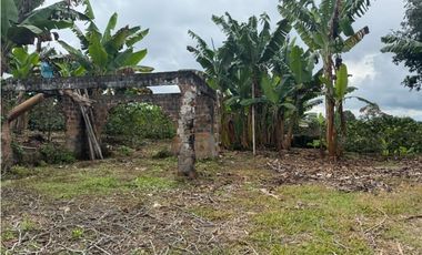 VENDO FINCA EN FILANDIA