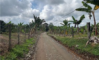 VENDO FINCA EN FILANDIA