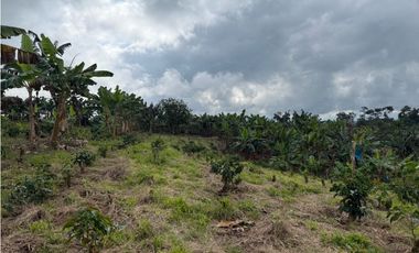 VENDO FINCA EN FILANDIA