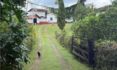 VENDO FINCA EN FILANDIA
