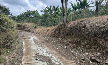 VENDO FINCA EN FILANDIA