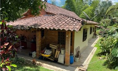 Venta finca en Titiribí - Antioquia