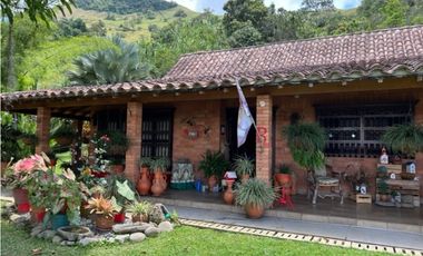 Venta finca en Titiribí - Antioquia
