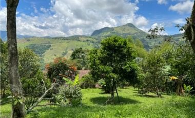 Venta finca en Titiribí - Antioquia