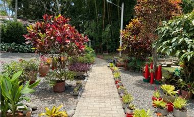 Venta finca en Titiribí - Antioquia