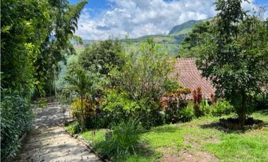 Venta finca en Titiribí - Antioquia