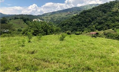 Vende lote Siria Titiribí Suroeste Antioqueño