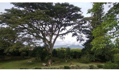 VENDO CASA CAMPESTRE EN QUIMBAYA