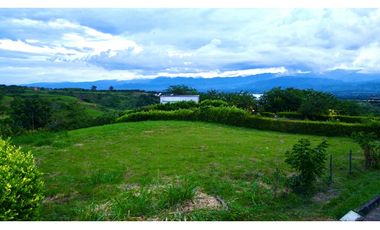 Terreno en La Carmelita con 1.962 m2. Cerritos. Pereira - Colombia.