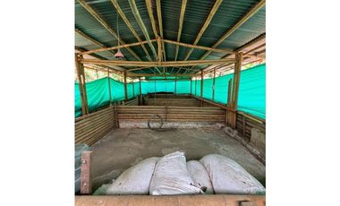 FINCA EN QUIMBAYA SE VENDE