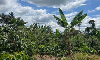 FINCA EN QUIMBAYA SE VENDE